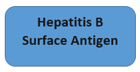 Hepatitis B Surface Antigen