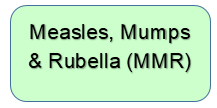 Measles, Mumps & Rubella (MMR)