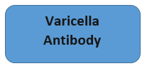 Varicella Antibody